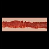 ZELEX Full silicone sex doll 170cm C-cup # GE53 head with realistic body makeup