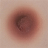 Yearndoll Y221 head New 148cm D-cup【Premium Version】 silicone head life-size sex doll