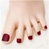 Top Sino Doll Full Silicone 145cm B-cup L1 head RRS+ makeup selectable