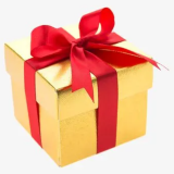 SHEDOLL Sex Doll Body Sale Page(Body Only)