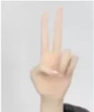 Real Girl Doll 159cm/5ft2 E-Cup Sex Doll Silicone C20 head+TPE body(material selectable)  with Lace Bunny Ears