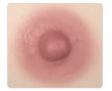 [2026.1.05-2026.01.31] BQDOLL Full Silicone Sex Dolls New Year Promotion Page