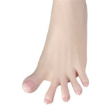 FANREAL 170 cm/5ft6 D-Cup Full Size Lifelike Silicone Sex Doll with Gina Head Tanned Skin