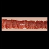 ZELEX Full silicone sex doll 175cm E-cup #GE45_7 head with movable jaw Fair Skin