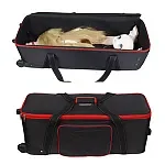 WM Doll Sex Doll Anime Y012 140cm B-Cup plastic head TPE Material Body