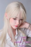 LACE DOLL  168cm D-cup 夏沫(xiamo) Head Sex Doll Body Material Customizable