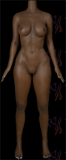 Real Lady Full Silicone Sex Doll 170cm/5ft6 C-cup Dark Tanned Skin R2 head