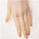 【Artist Makeup 】Top Sino Love Doll 167cm E-cup T38 head Artist Makeup Head RRS+ Makeup selectable