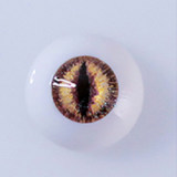 Climax Doll CLM  Full Silicone Mini Sex Doll Si60 XXL Hedy Head (Black)