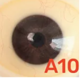 My Loli Waifu [2025.3.25-4.15 Half-Price Second Head | Free Upgrades] Full Silicone Sex Doll Customizable Head & Body