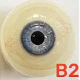 My Loli Waifu [2025.3.25-4.15 Half-Price Second Head | Free Upgrades] Full Silicone Sex Doll Customizable Head & Body