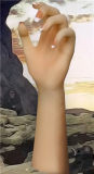 XTDOLL 164cm C-cup Kala head super reduce wight full silicone doll life-size real love doll