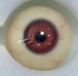 Houyu 158cm Elle Houyu & RZRDOLL collaboration product life-size full silicone love doll in Teacher Uniform