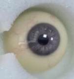 Houyu 158cm Eva Houyu & RZRDOLL collaboration product life-size full silicone love doll Marie Rose Cosplay from DOA