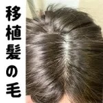 Qita 155cm D-cup Sex Doll with Miya Head Full Silicone Material