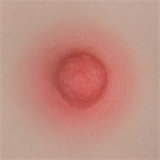 (sale time 2025.5.1-2025.5.31)Yearndoll Promotion page