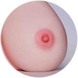 Erovenus LoveNestle Serise LN-T-003 Savannah Realistic Silicone Torso – Full-Size Sex Doll Torso