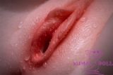Erovenus LoveNestle Serise LN-T-003 Savannah Realistic Silicone Torso – Full-Size Sex Doll Torso