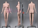 LACE DOLL 163cm H-cup 晚冰(Wanbing) Head Sex Doll Body Material Customizable  in White Lingerie