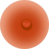 Game Lady Full silicone 168cm/5ft5 E-cup No.28_1  Shiranui Mai from King of Fighters Head with realistic makeup, eyebrows and eyelashes implanted