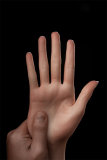Zelex 168cm B-cup Full Size Lifelike Sex Doll with #ZFE03_1 Head Full Silicone