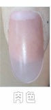 BQDOLL 160cm F-cup Zoya Head Full Silicone Sex Dolls with Skin Texture