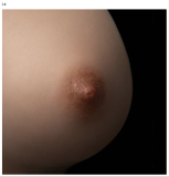 AXB doll Full silicone sex doll 148cm/4ft9 A-cup #G06 head