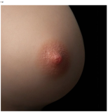 AXB doll Full silicone sex doll 148cm/4ft9 A-cup #G06 head