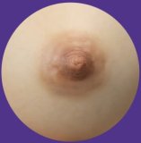 MMXDOLL 93cm AA-Cup Daili Head Seamless AIO Silicone Sex Doll