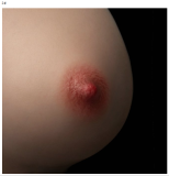 AXB doll Full silicone sex doll 148cm/4ft9 A-cup #G06 head