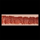 Zelex 165cm(5.41 ft) F-cup Full Size Lifelike Sex Doll with #GE64-1 Head Full Silicone Office Style