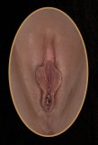 【Artist Makeup 】Top Sino Sex Doll 162cm G-cup T39 head Artist Makeup Head RRS+ Makeup Selectable