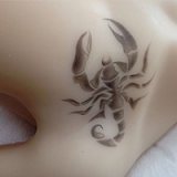 【Artist Makeup 】Top Sino Love Doll 167cm E-cup T38 head Artist Makeup Head RRS+ Makeup