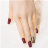 【Artist Makeup 】Top Sino Sex Doll 162cm G-cup T40 head Artist Makeup Head RRS+ Makeup Selectable