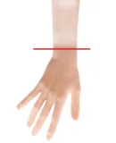 Sino Doll Soft-Max 167cm K-cup Silicone Sex Doll with S62 Head Massive Cleavage