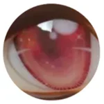 Sino Doll Soft-Max 77cm Torso Silicone Sex Doll with Head S45 only 15kg in Pink Bodysuit