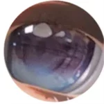 Sino Doll Soft-Max 143cm K-cup Silicone Sex Doll with Head S52