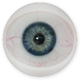 【2026.01.06-2026.01.31】FANREAL Life-size Sex Doll New Year Promotion Page