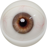 【2026.01.06-2026.01.31】FANREAL Life-size Sex Doll New Year Promotion Page