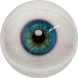 【2026.01.06-2026.01.31】FANREAL Life-size Sex Doll New Year Promotion Page