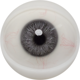 【2026.01.06-2026.01.31】FANREAL Life-size Sex Doll New Year Promotion Page