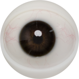 【2026.01.06-2026.01.31】FANREAL Life-size Sex Doll New Year Promotion Page