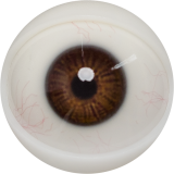 【2026.01.06-2026.01.31】FANREAL Life-size Sex Doll New Year Promotion Page