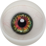 【2026.01.06-2026.01.31】FANREAL Life-size Sex Doll New Year Promotion Page