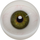 【2026.01.06-2026.01.31】FANREAL Life-size Sex Doll New Year Promotion Page