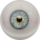 【2026.01.06-2026.01.31】FANREAL Life-size Sex Doll New Year Promotion Page