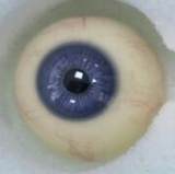 Gynoid No.23R 160cm D-Cup Silicone Sex Doll Vivi Head Deluxe/Basic Off-shoulder Top