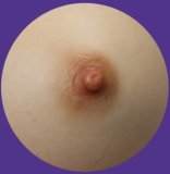 MMXDOLL 153cm C-Cup Menghan Head Seamless AIO Silicone Sex Doll