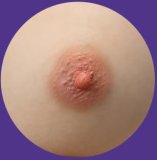 MMXDOLL 153cm C-Cup Menghan Head Seamless AIO Silicone Sex Doll