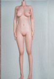 【2025.10.25-2025.11.25】MLW Doll Silicone Sex Doll Year-End Promotion Page